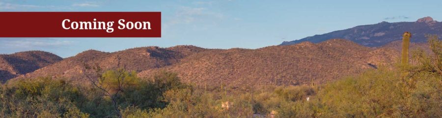 Click to see Via Elegante nursing home Tucson Mountains offering Assisted Living and Memory Care professional skilled caregiving staff focused on the health and wellness of our residents